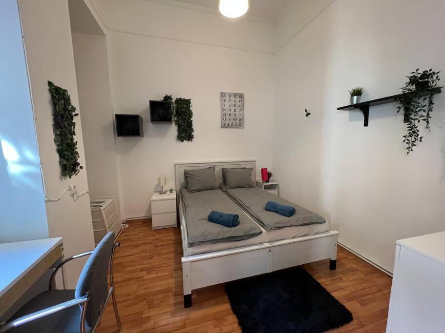 Big Apartment In The City Centre Budapest Exterior foto