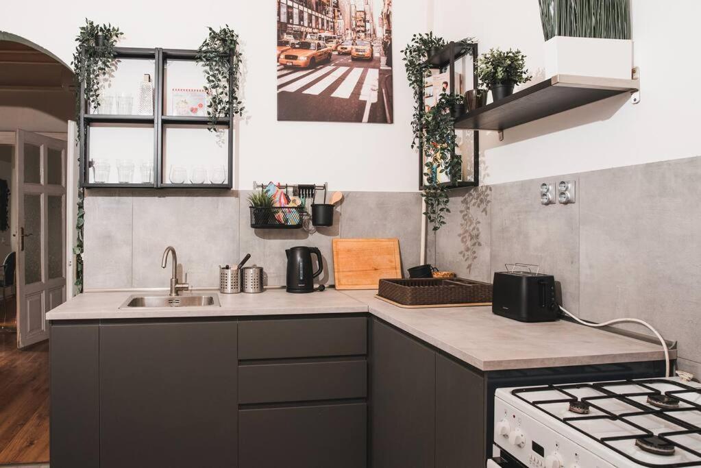 Big Apartment In The City Centre Budapest Exterior foto